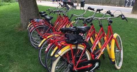 Alquiler de bicicletas de 5 días en Ámsterdam con un café de bienvenida